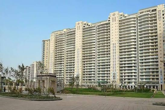 dlf